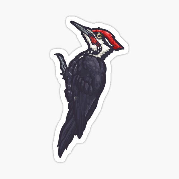 Woodpecker Stickers for Sale