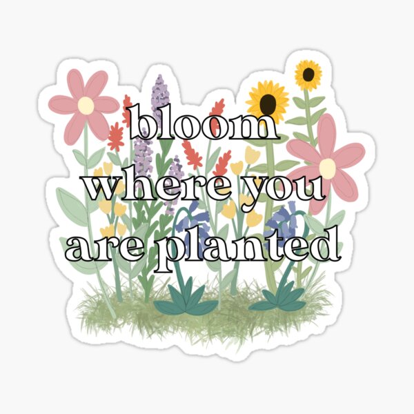 Bloom Where You Are Planted Sticker