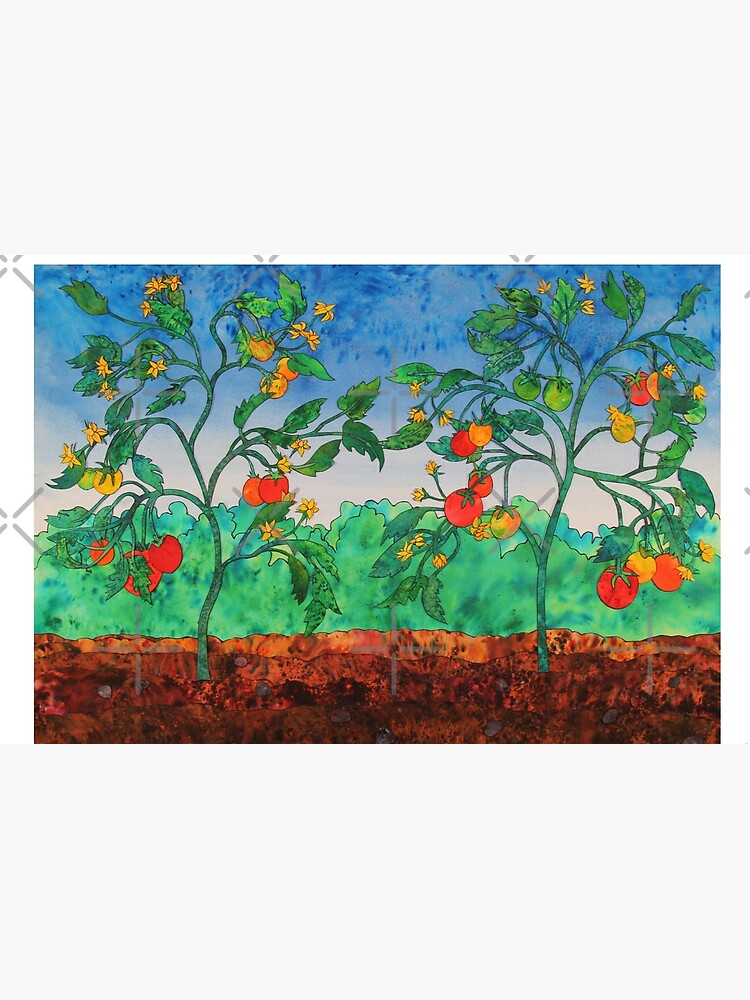 Summertime Tomatoes by junebugscorner