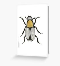 Cool Cute Bug Insect Drawing Greeting Card