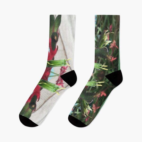 Item preview, Dancing Kangaroo Paws III de Criterion Street, Hobart / nipaluna designed and sold by RoseAromas.