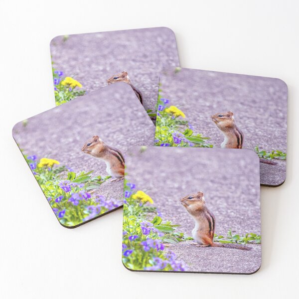 Item preview, Chipmunk gasps in delight at spring flowers designed and sold by Susan Sheldon.