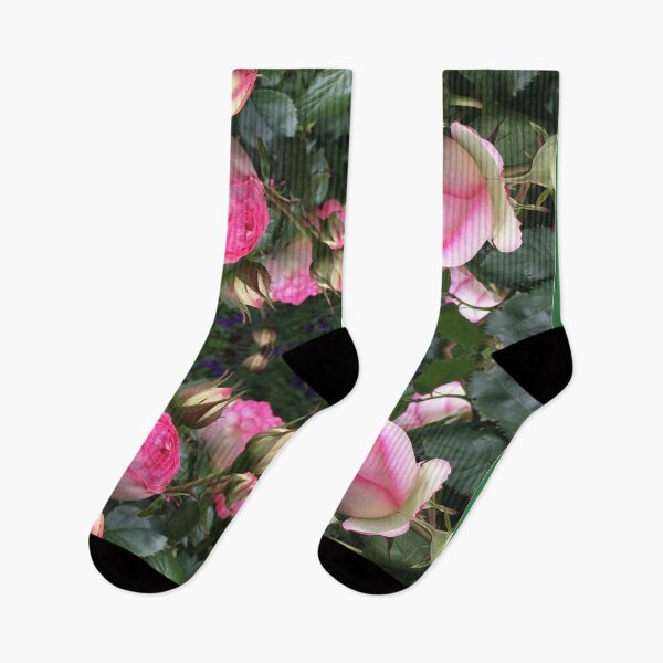 Item preview, Roses Divine - Pierre de Paradis II designed and sold by RoseAromas.