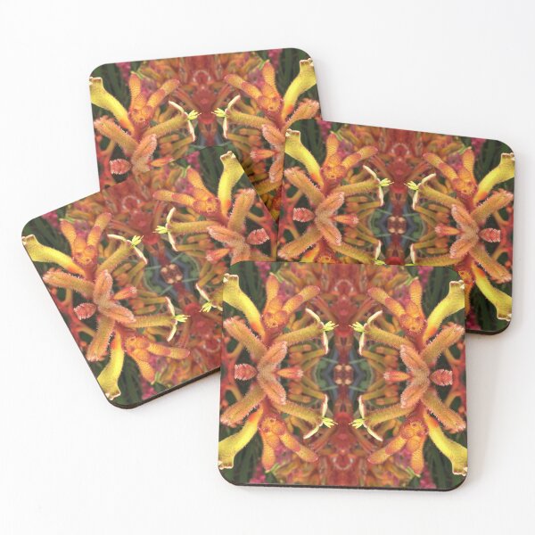 Item preview, Dancing Kangaroo Paws of Criterion Street, Hobart/nipaluna  designed and sold by RoseAromas.
