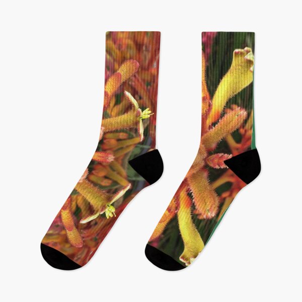 Item preview, Dancing Kangaroo Paws of Criterion Street, Hobart/nipaluna designed and sold by RoseAromas.