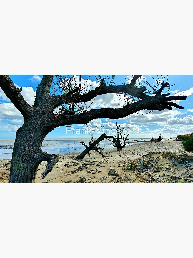 Thumbnail 3 of 3, Sticker, Covehithe Trees On The Beach designed and sold by Frank-Vincent.