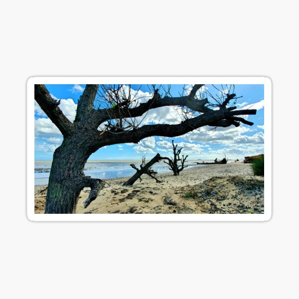 Item preview, Covehithe Trees On The Beach designed and sold by Frank-Vincent.