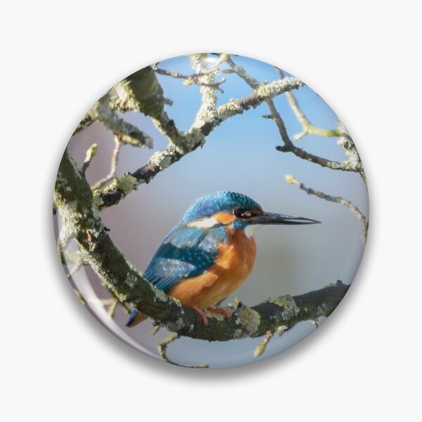 Item preview, Stunning Kingfisher on branch designed and sold by InterestingImag.