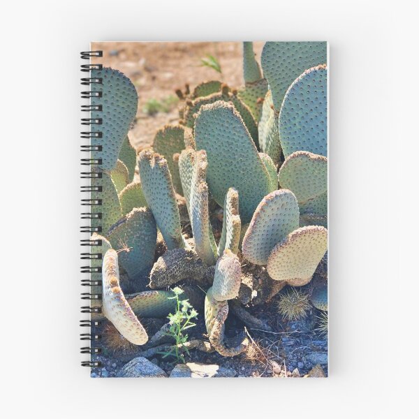 Item preview, Desert Cactus | Beavertail Pricklypear | Nature is beautiful designed and sold by The Princess Saves Herself.