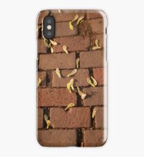 Freshly Fallen Helicopters iPhone Case/Skin