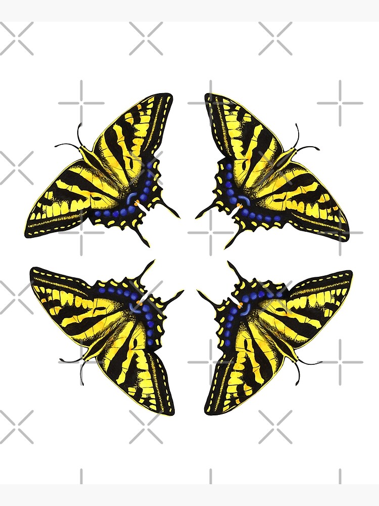 Swallowtail Butterflies by junebugscorner