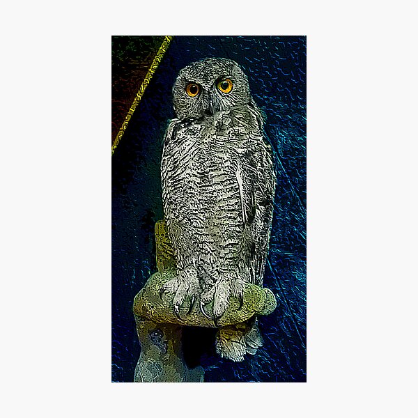 Item preview, The Great Owl designed and sold by mrfriendly.