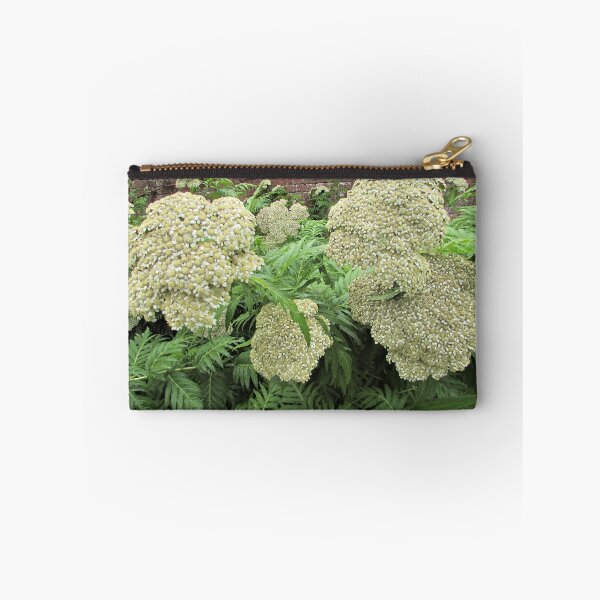 Item preview, Achillea chrysocoma 'Grandiflora' - Classic looking flower designed and sold by GoNatureDesigns.