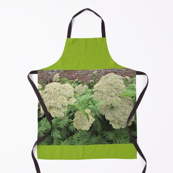 Item preview, Achillea chrysocoma 'Grandiflora' - Classic looking flower designed and sold by GoNatureDesigns.