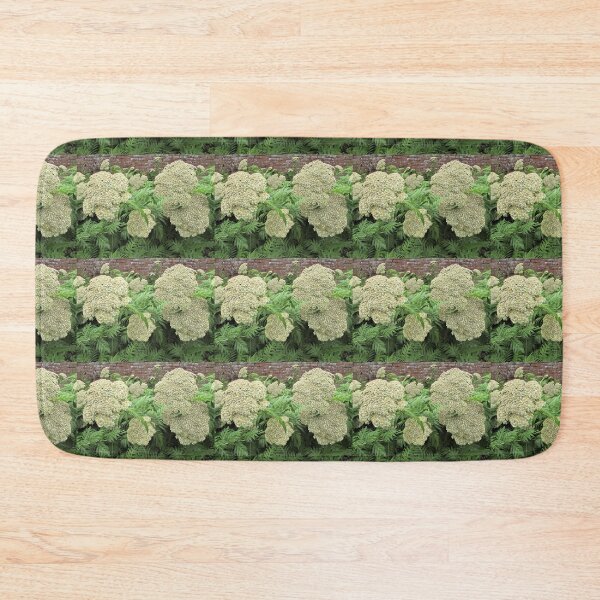 Item preview, Achillea chrysocoma 'Grandiflora' - Classic looking flower designed and sold by GoNatureDesigns.