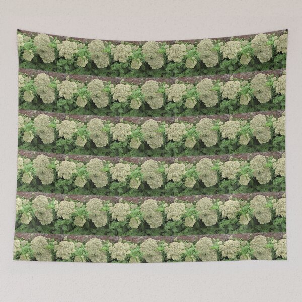 Item preview, Achillea chrysocoma 'Grandiflora' - Classic looking flower designed and sold by GoNatureDesigns.