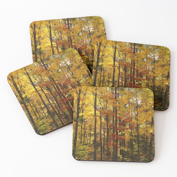 Item preview, Colors of the Autumn Forest designed and sold by RCNaturephotos.