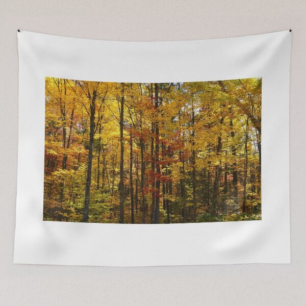 Item preview, Colors of the Autumn Forest designed and sold by RCNaturephotos.