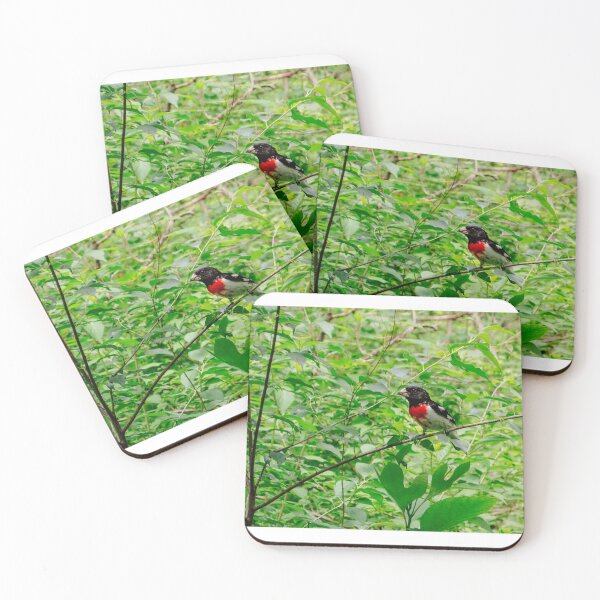 Item preview, Birdo designed and sold by Calvington.