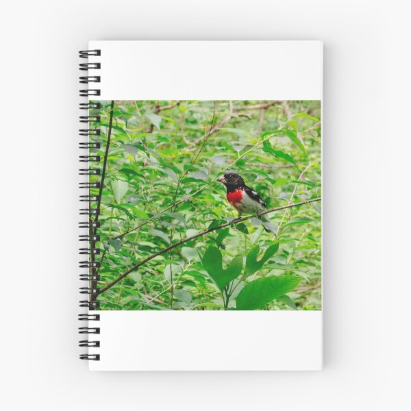 Item preview, Birdo designed and sold by Calvington.