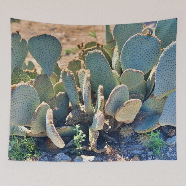 Item preview, Desert Cactus | Beavertail Pricklypear | Nature is beautiful designed and sold by The Princess Saves Herself.