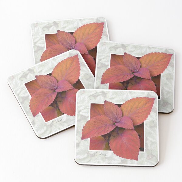 Item preview, Coleus designed and sold by Susan Watson.