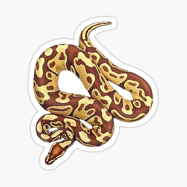 Gifts for Him or Her Digital Art Die Cut Pastel Ball Python Bubble-Free ...