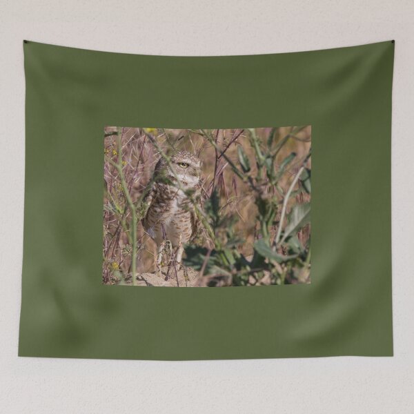 Item preview, Burrowing Owl Peeking Through the Plants designed and sold by CarolM.