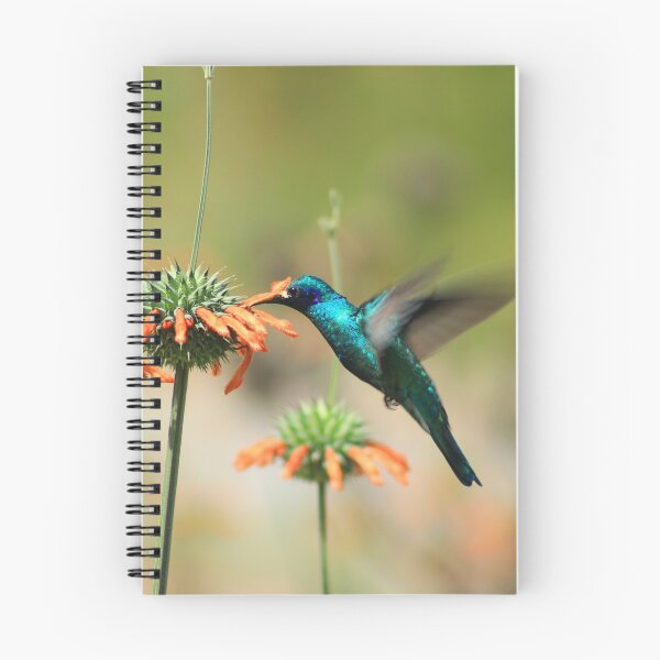 Item preview, Hummingbird Collecting Nectar designed and sold by rhamm.