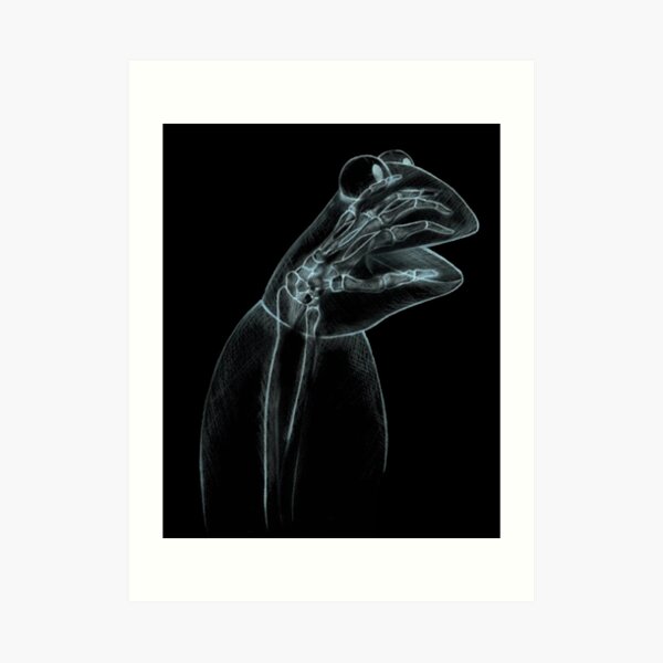 "Kermit XRay" Art Print for Sale by RhymeWithPurple Redbubble