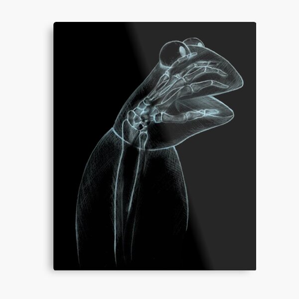Kermit X-Ray Kermit X-Ray