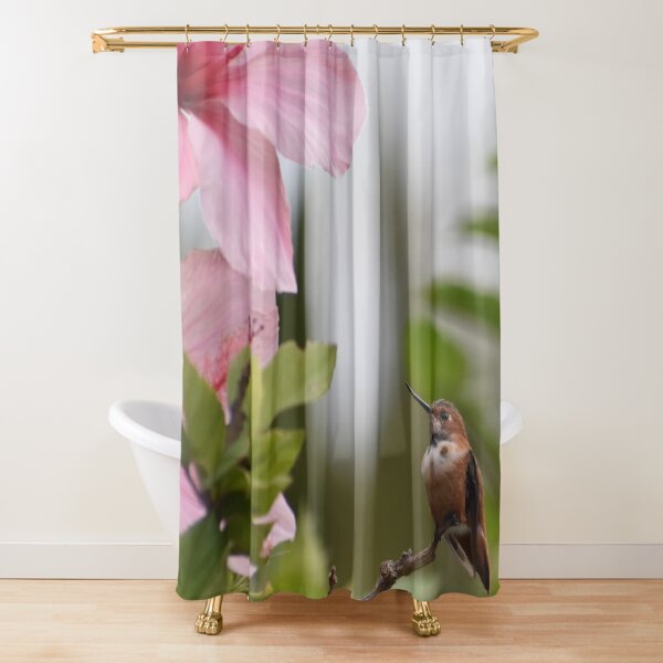 Hummingbird And Pink Hibiscus Flower Photo By Concetta Ellis Shower Curtain