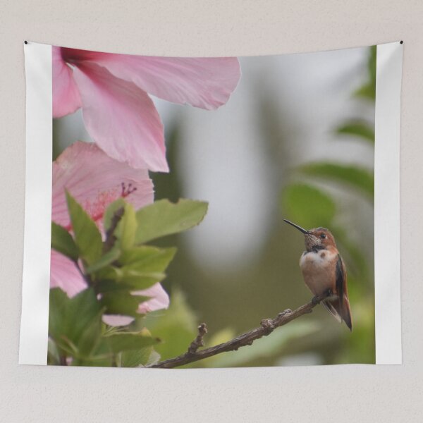 Item preview, Hummingbird And Pink Hibiscus Flower Photo By Concetta Ellis designed and sold by concettaellis.