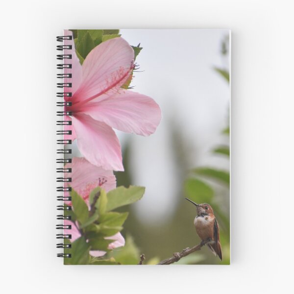 Item preview, Hummingbird And Pink Hibiscus Flower Photo By Concetta Ellis designed and sold by concettaellis.