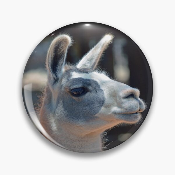 Item preview, Lama designed and sold by Savannah Gibbs.
