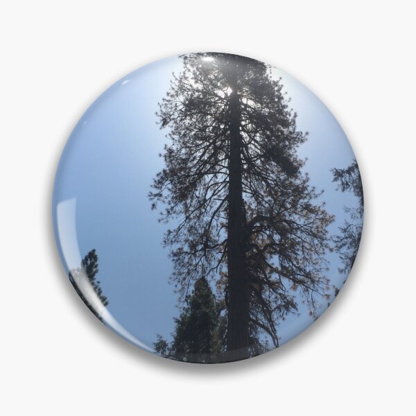 Item preview, Tall Trees designed and sold by SashaSprite.