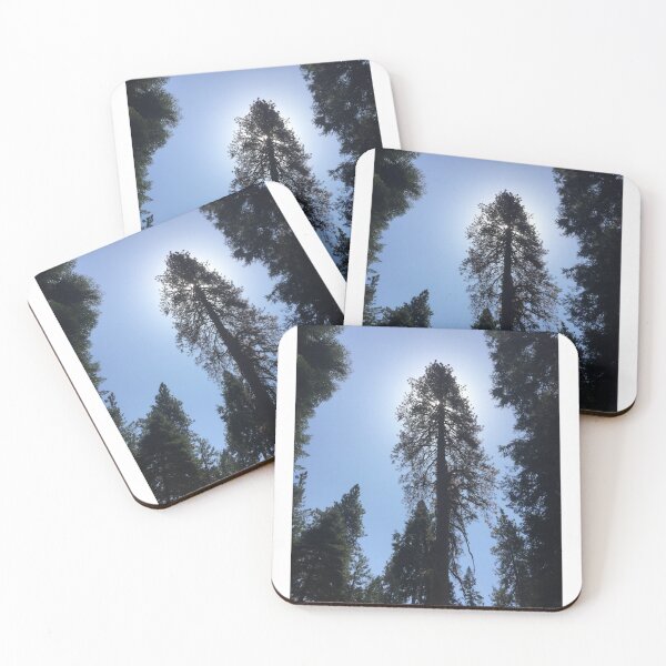 Item preview, Tall Trees designed and sold by SashaSprite.