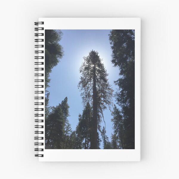 Item preview, Tall Trees designed and sold by SashaSprite.