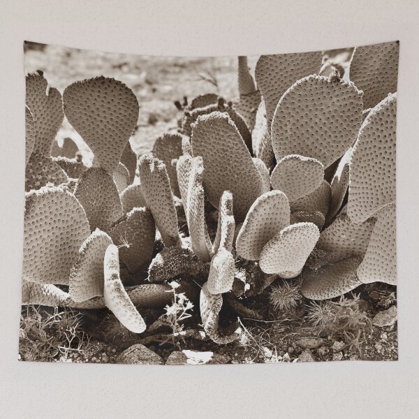 Item preview, Sepia Desert Cactus | Beavertail Pricklypear | Nature is beautiful designed and sold by The Princess Saves Herself.