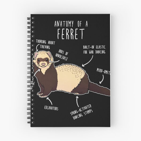 Item preview, Anatomy of a Ferret designed and sold by Clara Hollins.