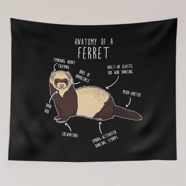 Item preview, Anatomy of a Ferret designed and sold by Clara Hollins.