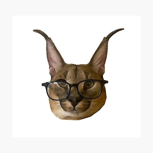 Baby Floppa meme Big floppa caracal Poster for Sale by giftycat