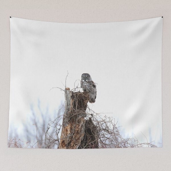 Item preview, The great grey owl  designed and sold by locustgirl.