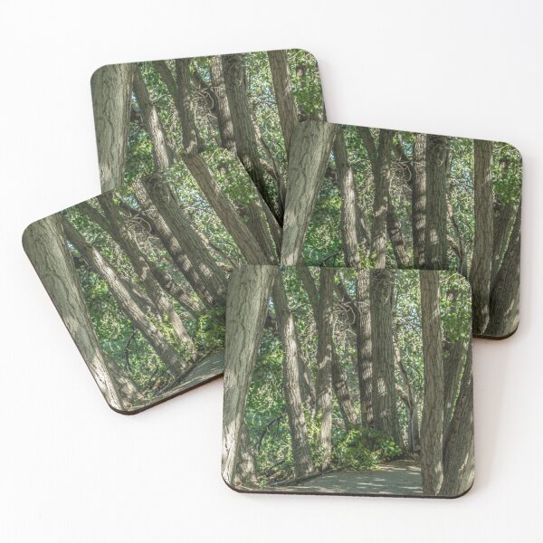Item preview, Trail to Peace designed and sold by TBirdPhotos.