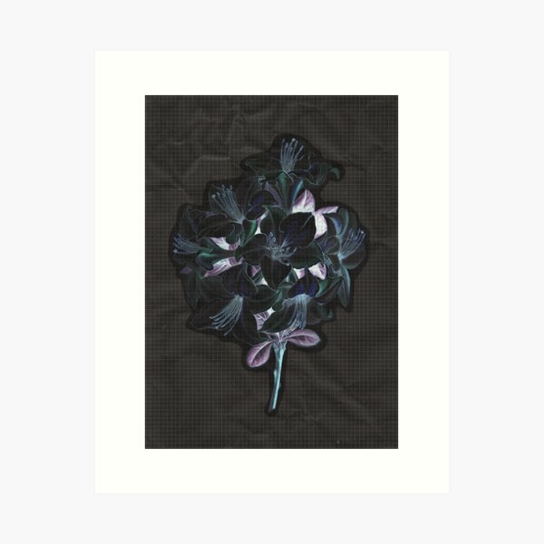 Bouquet of Darkness Art Print