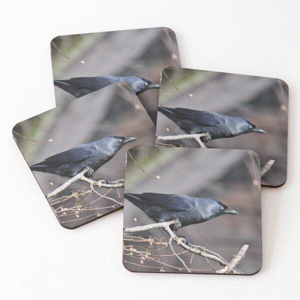 Item preview, Jackdaw  designed and sold by LJarts.