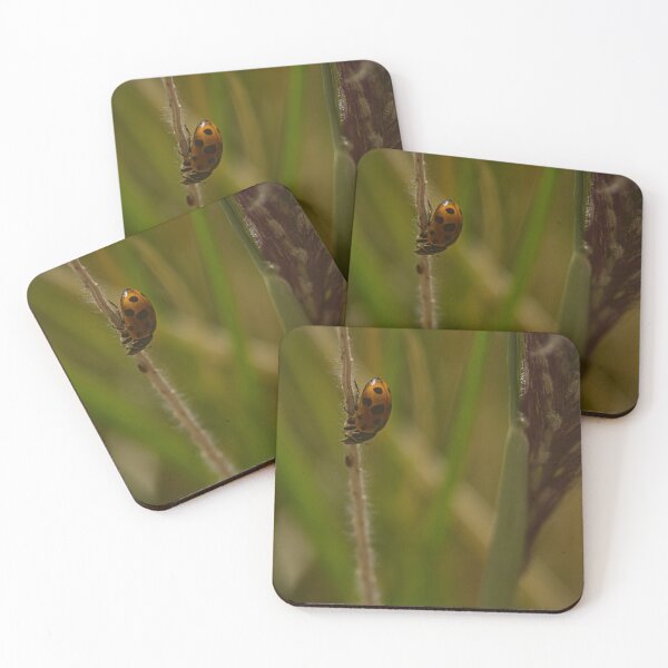 Item preview, ladybug, chinita or ladybug walking in grass designed and sold by Sergio Roberto Peña y Lillo Lonconao.