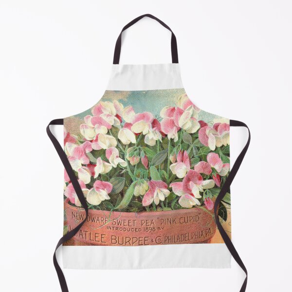 Item preview, Pink Cupid Sweet Pea - Burpee's 1898 designed and sold by killies.