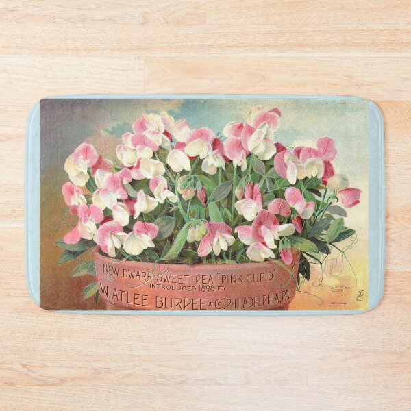 Item preview, Pink Cupid Sweet Pea - Burpee's 1898 designed and sold by killies.