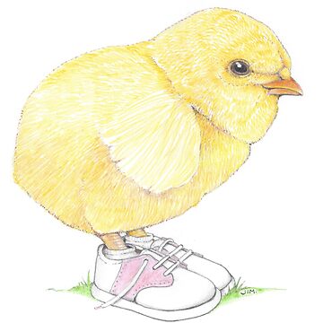Artwork thumbnail, Chick in baby saddle shoes by JimsBirds